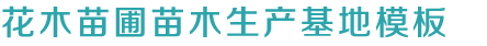 凯发国际k8官网登录